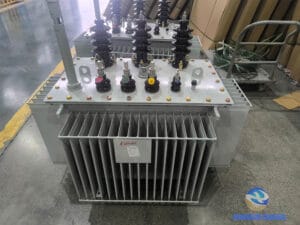 315 kVA oil-immersed distribution transformer complete unit — Dyn11 ONAN outdoor 10kV/400V Zhongxin General